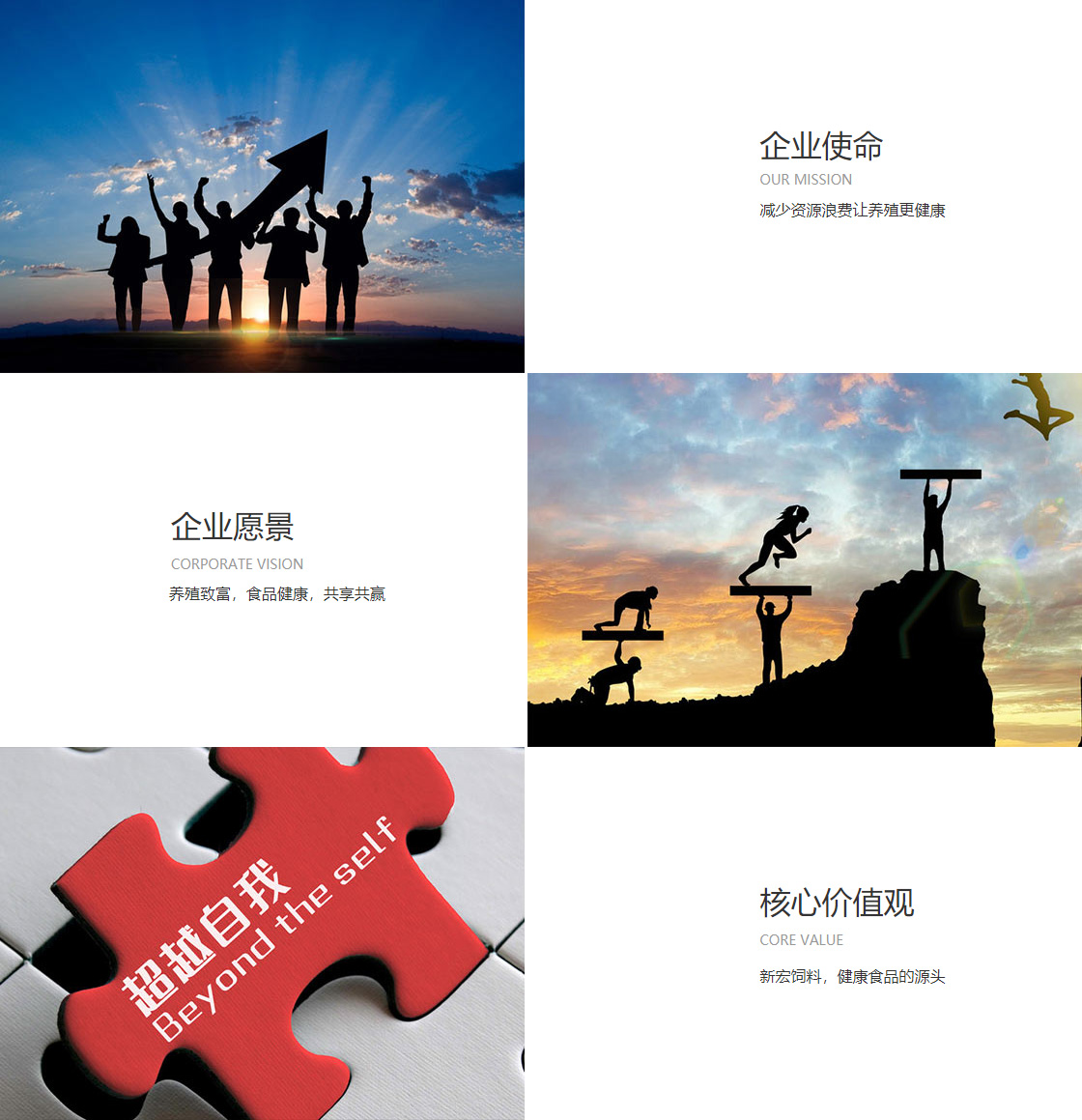 56677凤凰平台安装(图1)